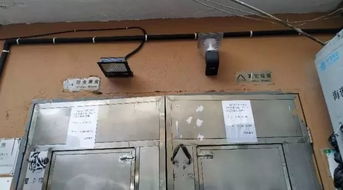 歐陽路街道新增132套“微改造”照明設施，點亮便捷生活新圖景